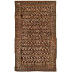 Late 19th Century Antique  Hand Knotted Wool Navy Blue Persian Malayer Rug