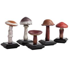 Collection of Five Carved Mushrooms