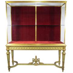French Louis XVI Style Belle Époque Bronze and Carved Wood Exhibition Vitrine 9
