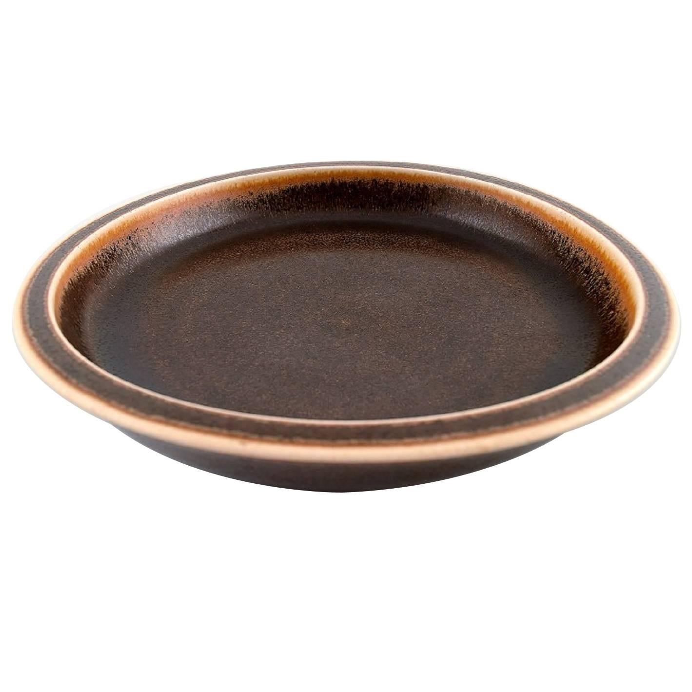 Saxbo, grand plat ou bol en céramique, belle glaçure Brown