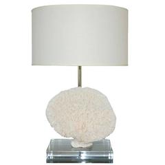 Vintage Coral Table Lamp by Swank Lighting