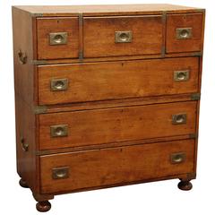 Antique Campaign Chest in Camphor Wood and Oak