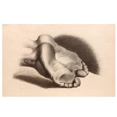 Antique Two 19th Century Classical Anatomical Studies