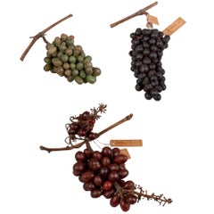 Ten Wax Grape Clusters by Francesco Garnier-Valletti, Turin, Italy, mid-19th c.