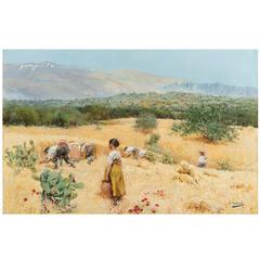 Harvest at the Foot of the Sierra Nevada in Andalusia