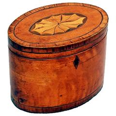 Antique 18th Century Satinwood Oval Tea Caddy
