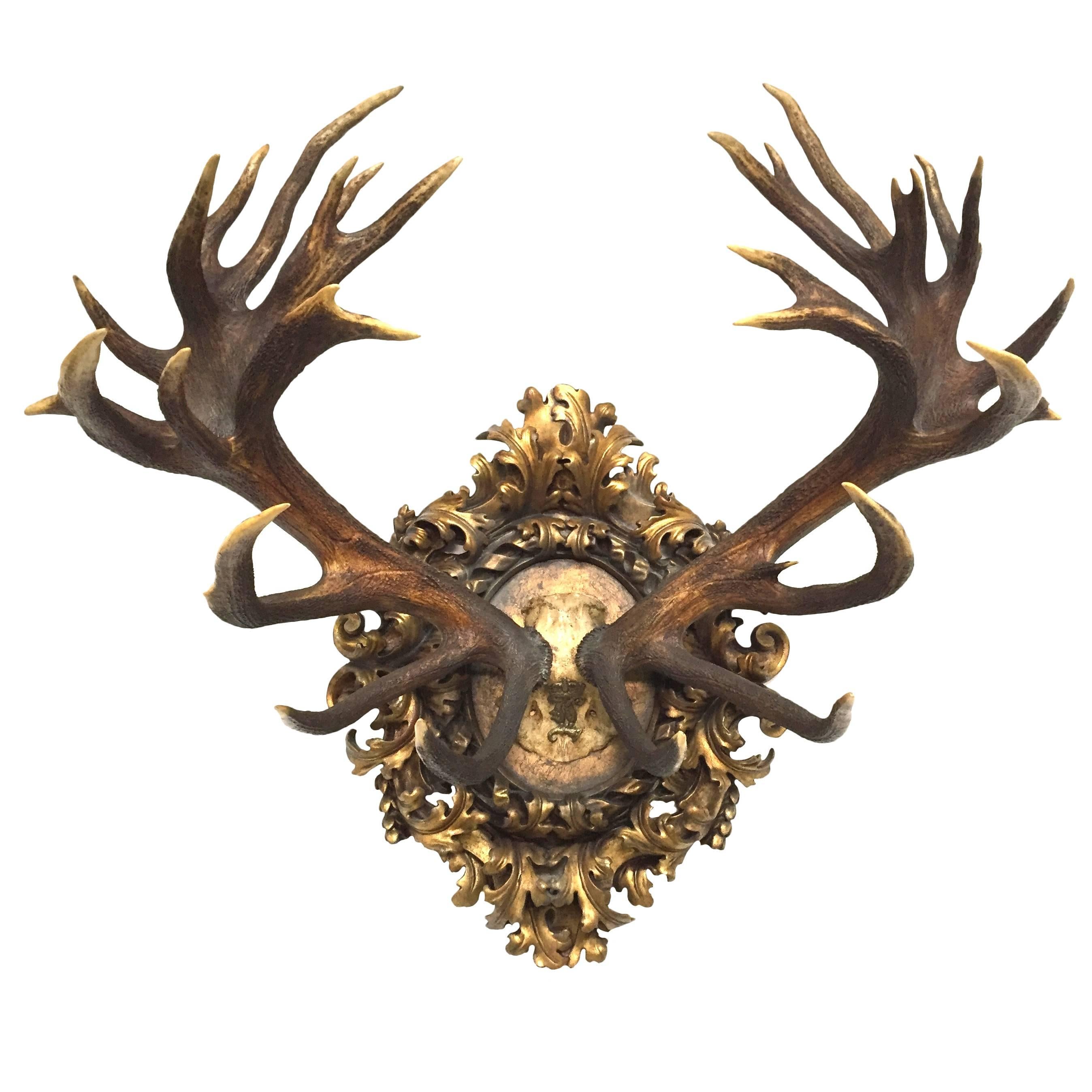 Habsburg Red Stag from Eckartsau Castle, Austria with Bavarian Wappen, 1800s