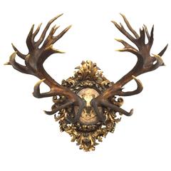 Antique Habsburg Red Stag from Eckartsau Castle, Austria with Bavarian Wappen, 1800s