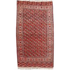 Antique Turkman Bukhara Main Carpet / Rug 8