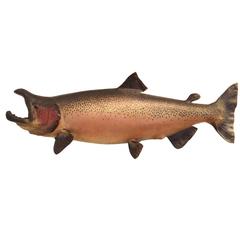 Vintage Mounted Taxidermy Salmon