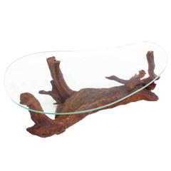 Biomorphic Kidney Shape Glass Top Drift Wood Base Coffee Table