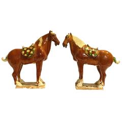 Pair of Chinese Tang San Cai Terracotta Horses