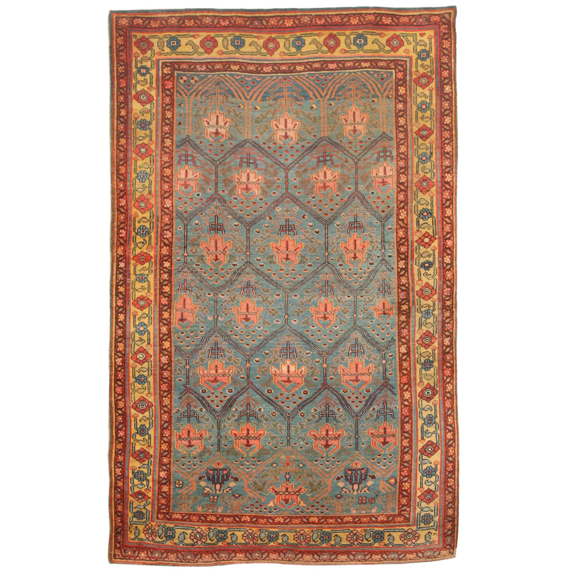 Exceptional Rare Antique 19th Century Persian Bidjar Rug For Sale