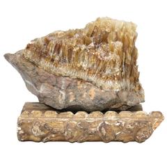 Hounds Tooth Calcite Crystals on Wood Base Decorated with 18th Century Molding