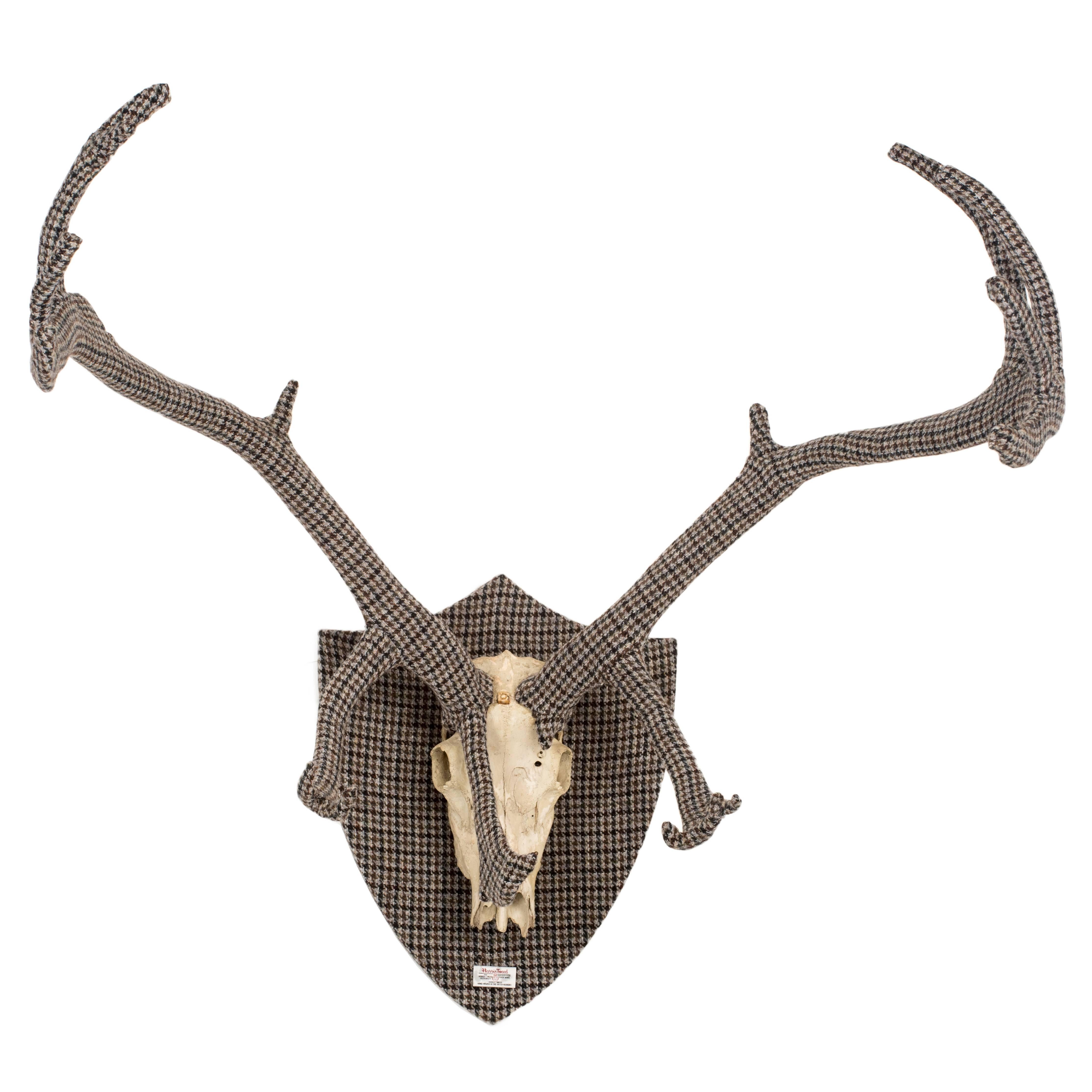 Impressive set of Scottish deer antlers painstakingly hand-sewn and wrapped in traditional Harris Tweed with the obligatory Harris Tweed authenticity label and gold coloured tooth mounted of crest wall plaque.

Amazing statement centre piece to