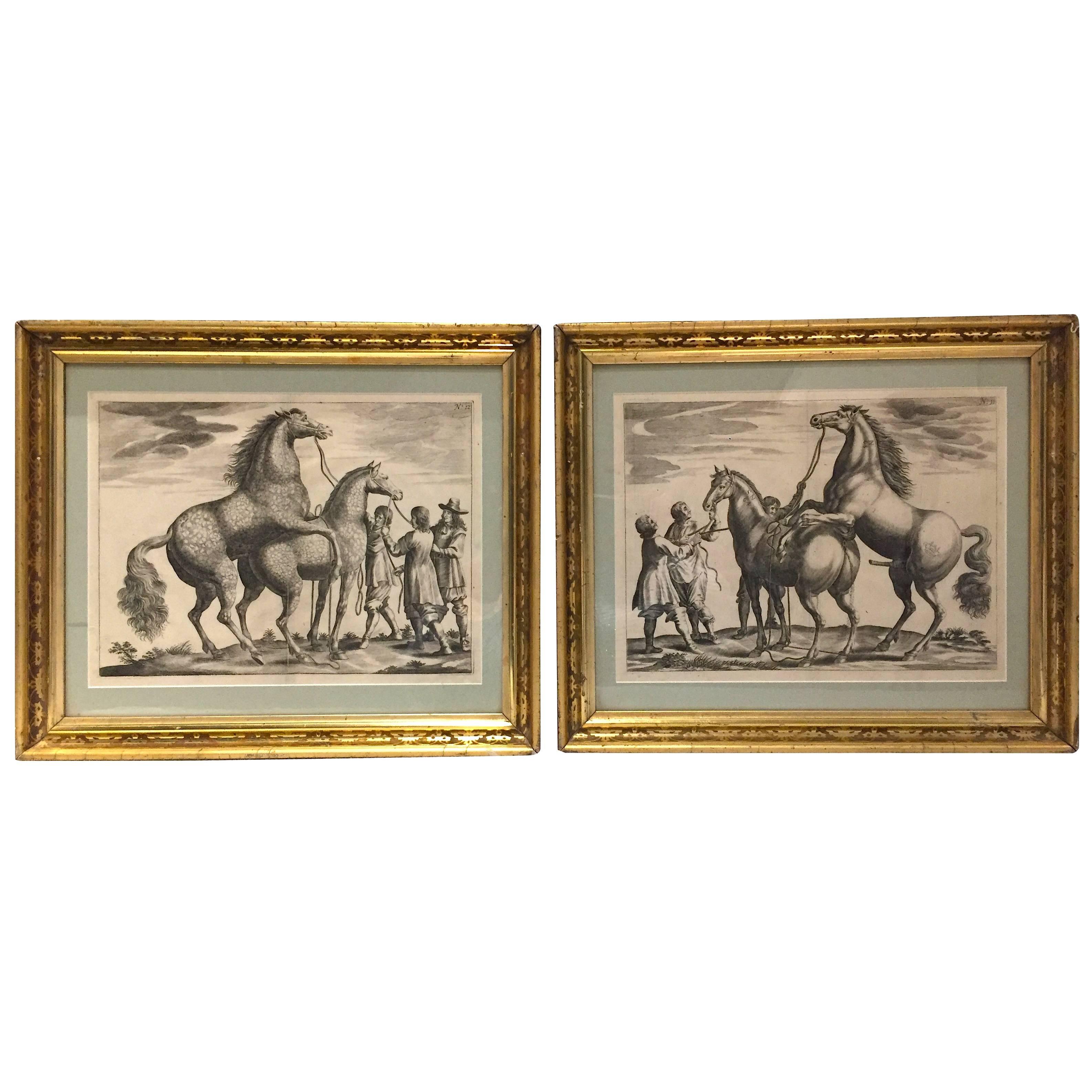 18th Century French or German Engravings of Thoroughbred Horses