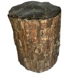 Wonderful Petrified Log