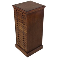 Edwardian English Oak Collectors Chest