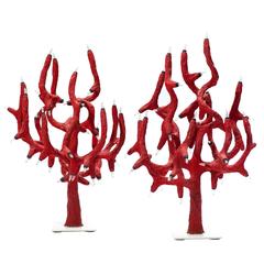 Pair of Coral Table Lamps