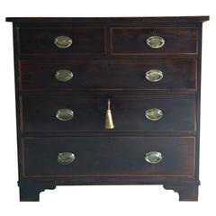 Antique Victorian Chest of Drawers  Dresser in Mahogany, 19th Century