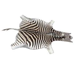 Zebra, Rug, Vintage 2