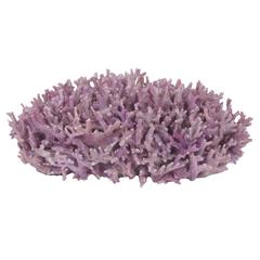 Authentic Purple Coral Sculpture or Centerpiece