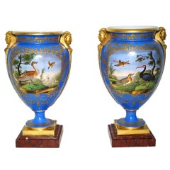 Paire de vases en porcelaine de Paris montés sur bronze ornithologique