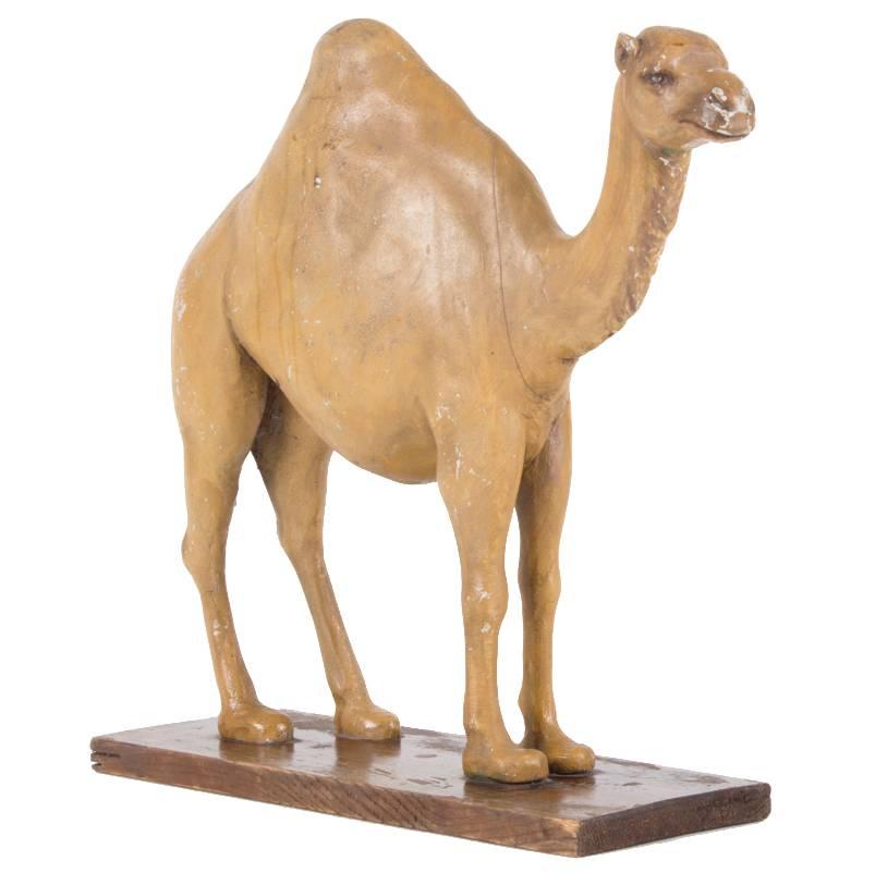 19th Century Camel or Dromedary Sculpture For Sale
