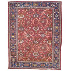 Fantastic Antique Sultanabad Carpet 6