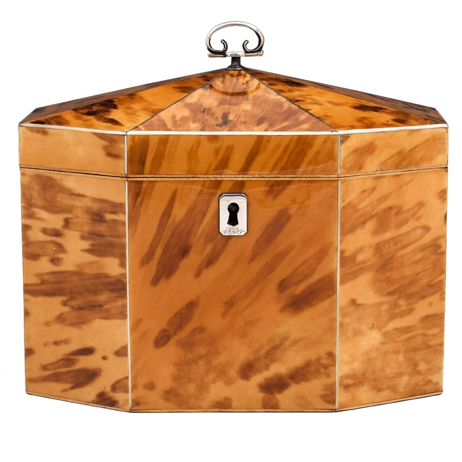 Georgian Blonde Tortoiseshell Tea Caddy