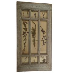 Herbiers Framed in Antique Window Frame 9