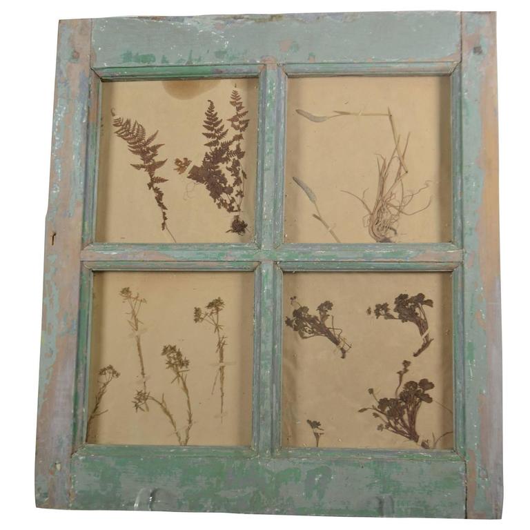 Herbiers Framed in Antique Window Frame For Sale at 1stdibs
