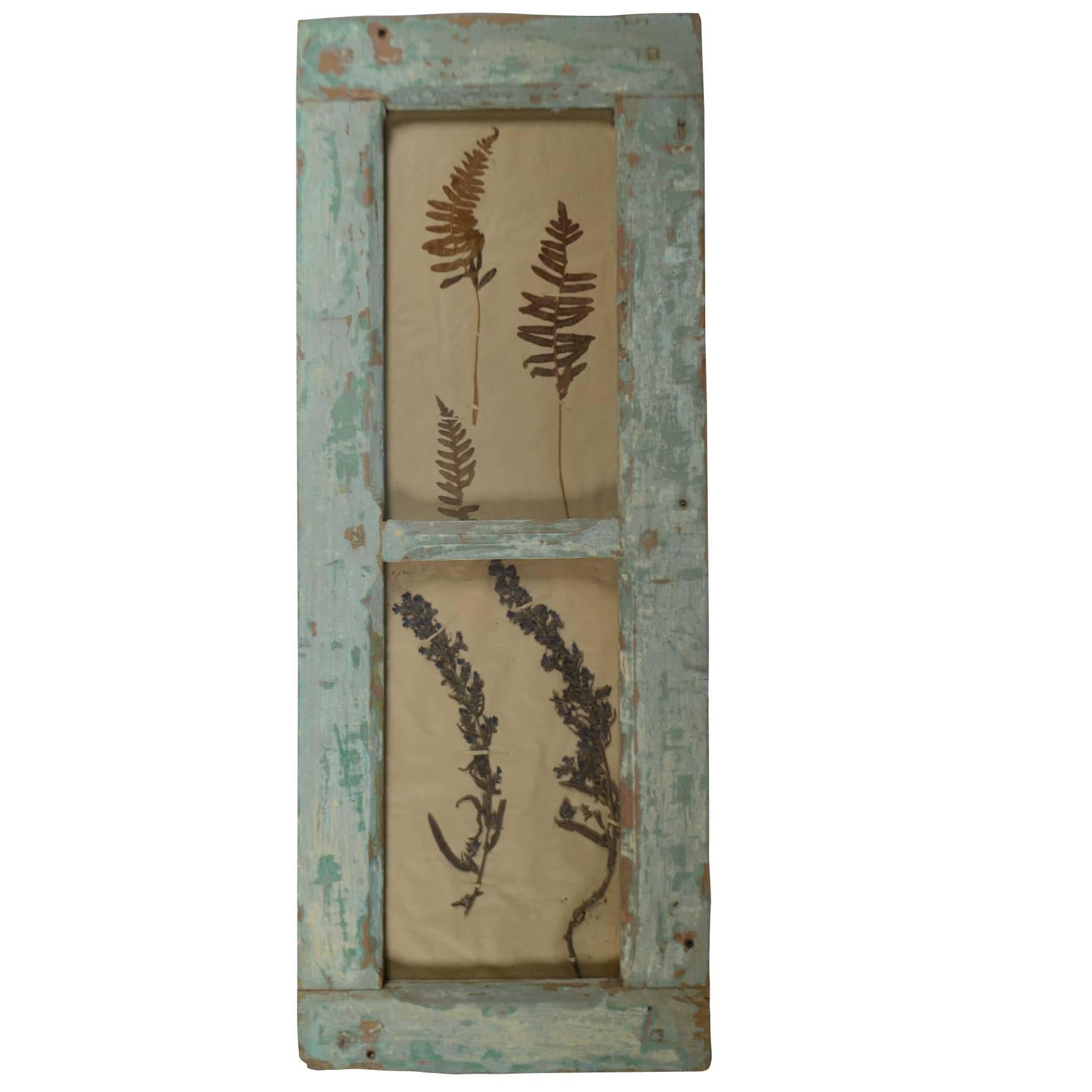 Herbiers Framed in Antique Window Frames For Sale at 1stDibs