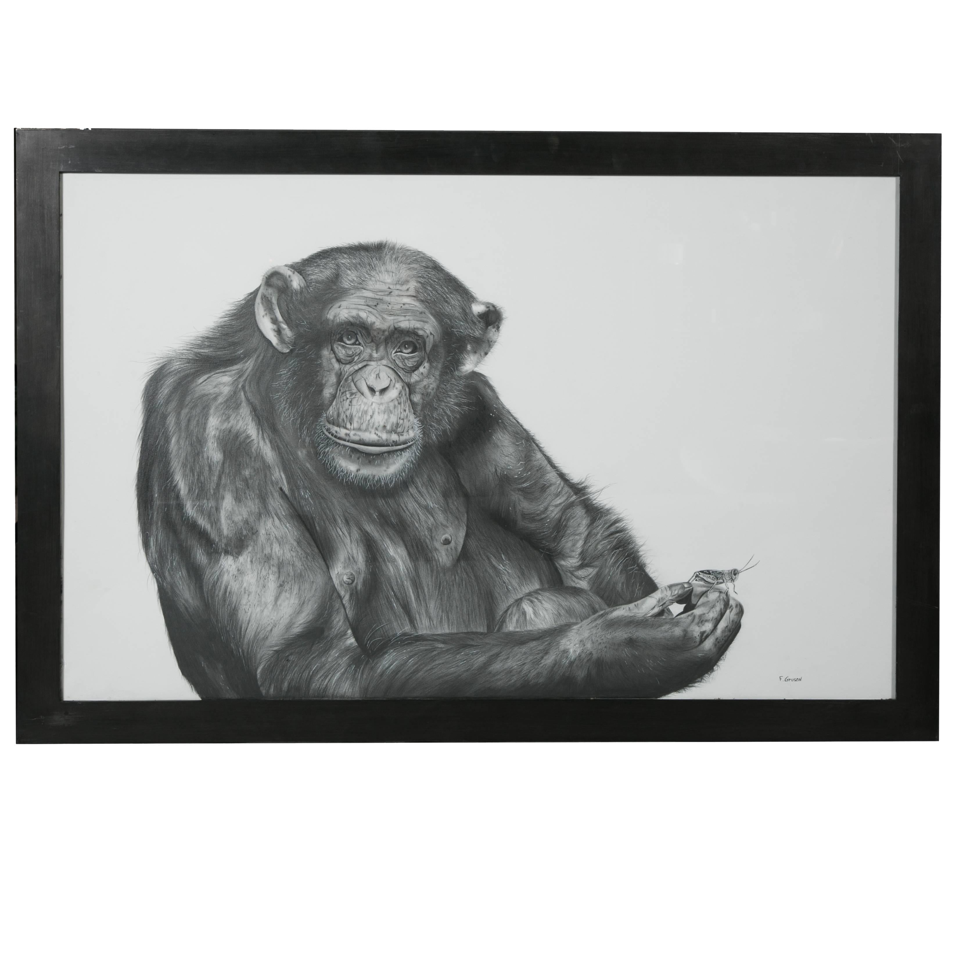 Chimpanzee and Grasshopper Graphite Drawing by François Gruson, 2011 For Sale