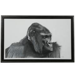 Gorilla Head Graphite Drawing by Francois Gruson, 2011