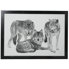 Wolves Graphite Drawing by François Gruson, 2011 Wolves Graphite Drawing by François Gruson, 2011