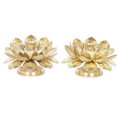 Pair of Lotus Candlesticks in Brass 8