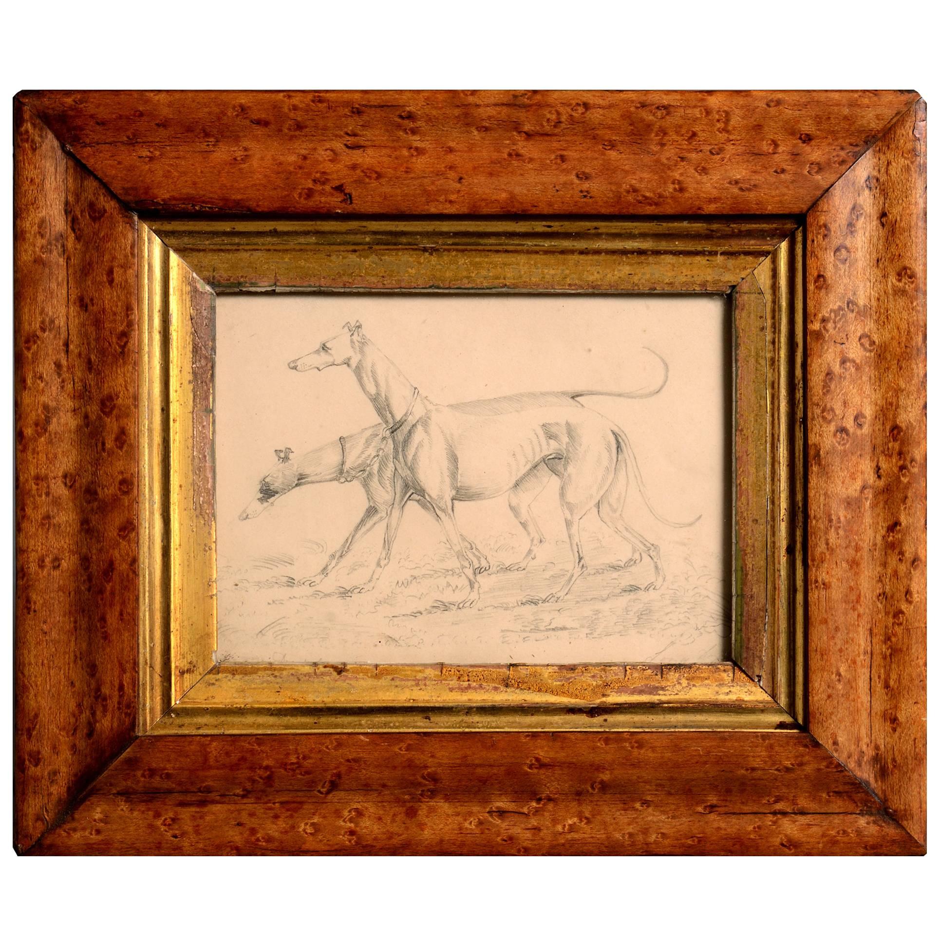 19th Century Pencil Sketch of Two Greyhounds