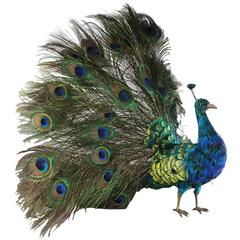 Antique Walking and Fantail-Displaying Indian Peacock Automaton