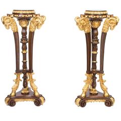 Exquisite Pair of Adam Style Mahogany Giltwood Pedestals 4