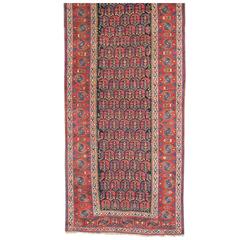Northwest Persian Runner 11