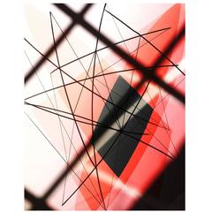 Photogram by Jeffrey Rothstein 3