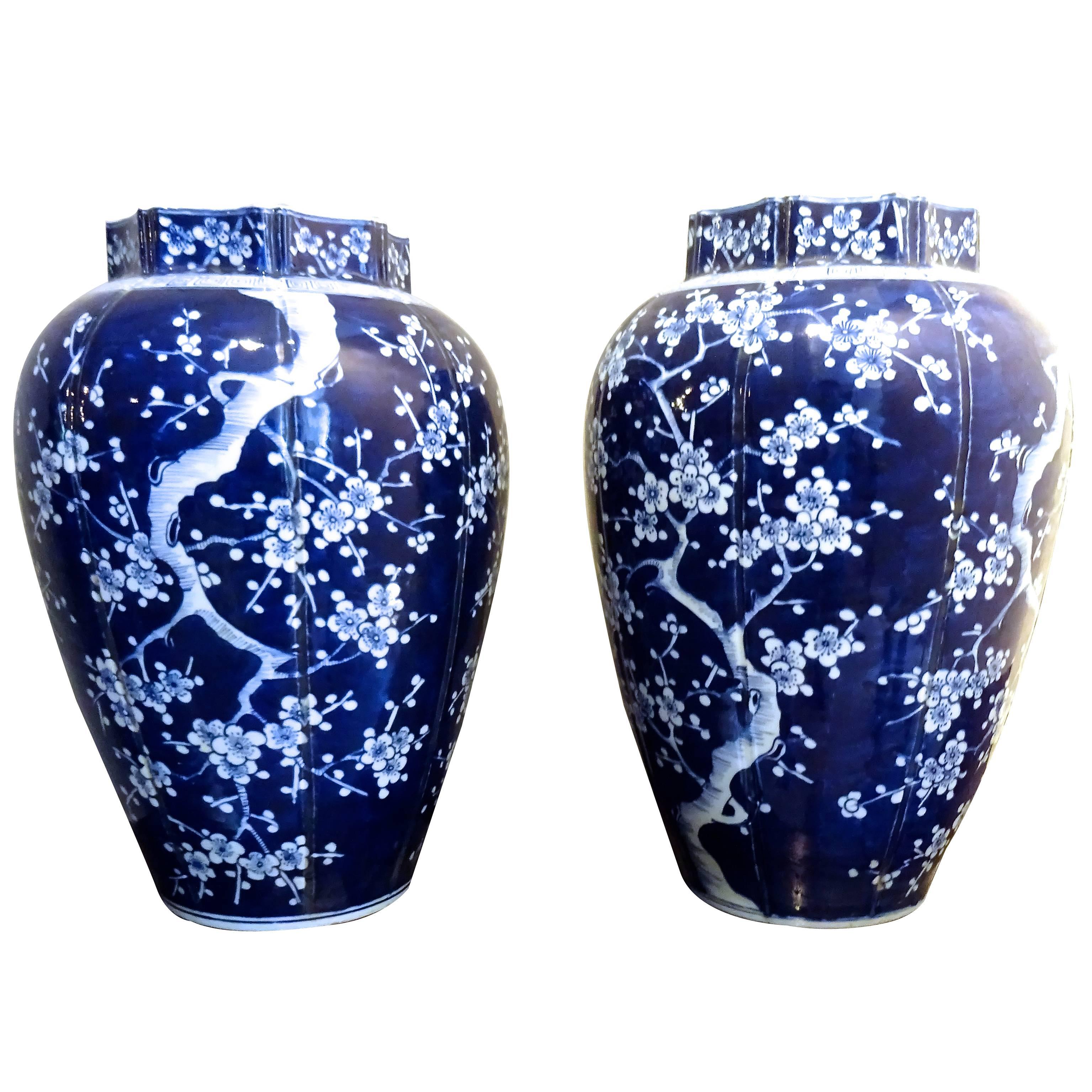 Large Pair of Chinese Blue and White Porcelain Vases with Plum Blossom Motif