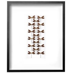 Brown Damselfly Drift Mosaic