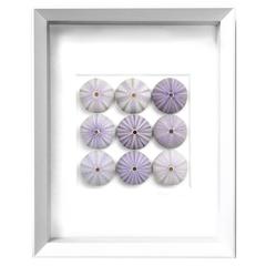 Lilac Urchins Mosaic