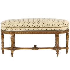 French Louis XVI Style Carved Giltwood Oval Bench by Mati & Cie, 19th Century