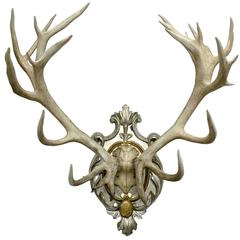 19th Century Red Stag Mount on Silver Painted Plaque with Bavarian Wappen
