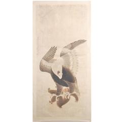 Antique Japanese Soga School Painting of a Hawk on Paper, Edo Period