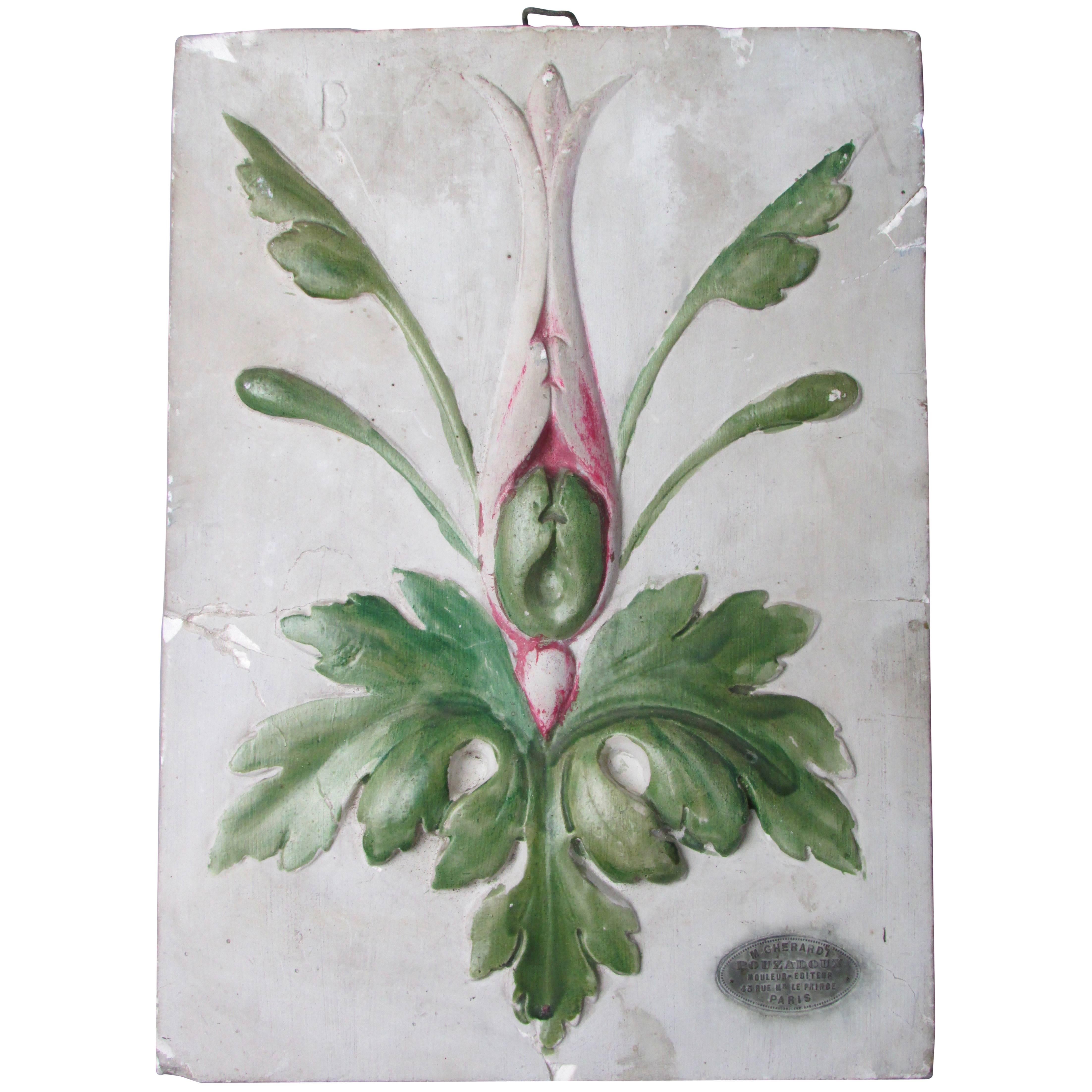 19th Century French Educational Plaster Botanical Plaque For Sale