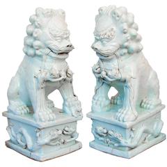 Monumental Pair of Glazed White Foo Dogs